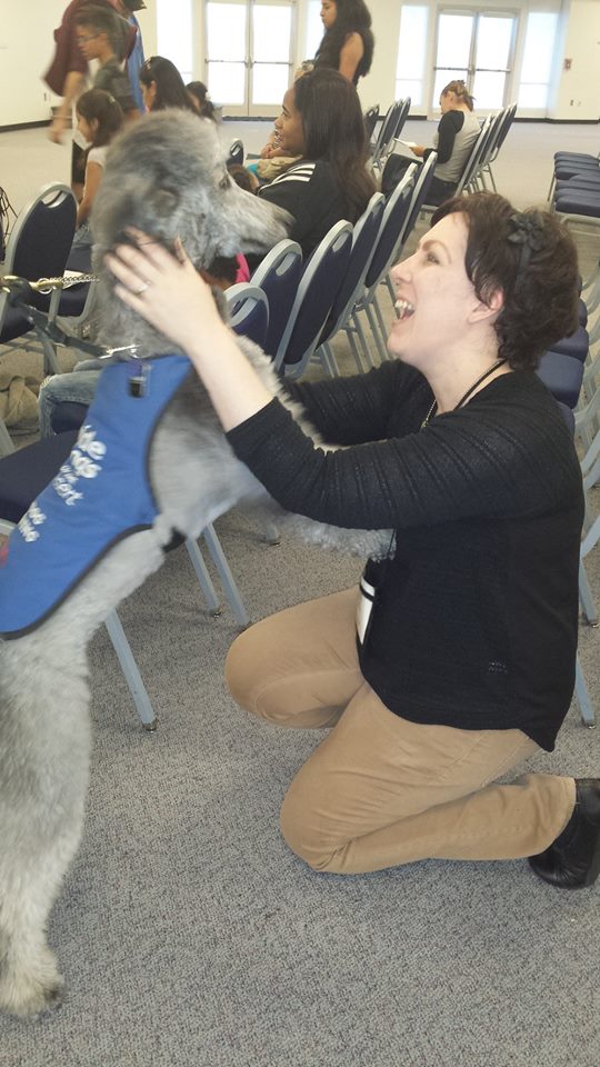 Dogs of the Desert 1-2016